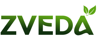 Zveda Logo